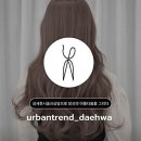 일산로636번길 | 내 머리 복잡함, 이 미용실이면 간섭 없이 해결!