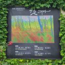 그리다교동 이미지