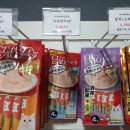 알았당개 이미지