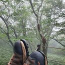 슬기로운날