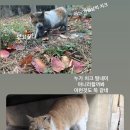 너와나,묘연 이미지