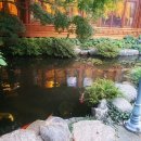 (주)호텔농심 이미지