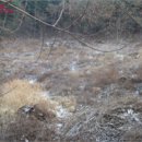 산유리보건진료소 네이버블로그