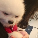 스시이안앤 발산역점 이미지