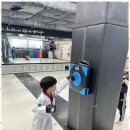 용인대푸른태권도 이미지