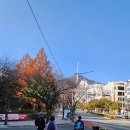 12월정산(사직동 쇠미산~온천장 금강공원) 이미지