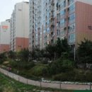 옵티마삼산제일약국 이미지