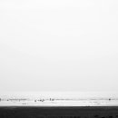 청포대해수욕장 이미지