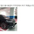 나노톨세차장