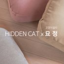 히든캣