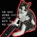 챔피언농장 | '환장'이란 말은 "아카나 캣 리커블 스틱형 캣푸드"를 먹을때 쓰는 말!! 고양이 간식 추천!