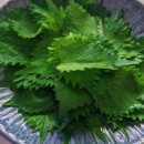 상도연탄갈비 이미지