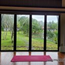 파인트리비 | 다낭 반얀트리 랑코 후기｜도심에서 한 시간, 비 오는 날의 조용한 풀빌라