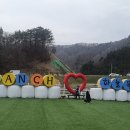 파란하늘목장 이미지