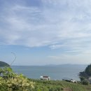 남면식육점