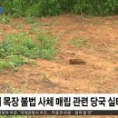 한심목장 네이버블로그