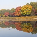 호수공원작은도서관 이미지