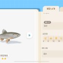 거목낚시