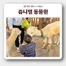 쥬니멀 | [청주나들이] 아기랑 ‘쥬니멀 동물원’ 재방문 후기