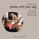 도그온리 이미지