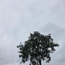 한중우호의숲 이미지