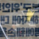 나비의꿈 이미지