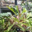중부대로32 | 🌿 주말 아이랑 가볼만한곳! 이천시환경학습관 다녀온 솔직 후기 (입장료 무료에 알찬 체험까지✨)