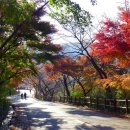 산책길-1 이미지