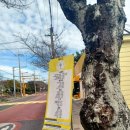 효돈동-7 이미지