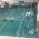 서귀포KAL호텔 이미지