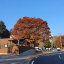 솔고개민박 이미지