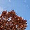 청파한의원 이미지