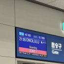 부부카부분정비 | 1일차(2) : 대한항공 호놀룰루 KE 053 후기(좌석, 기내식), 허츠 렌트카 수령, 와이키키 리조트 호텔 룸...