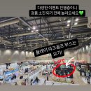 투데이 스크린골프 | [파크골프]뉴스에도 나온 기술력!! 제13회 더골프쇼로 놀러오세요