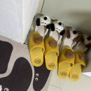 [송파점집] 청운신당 신점 점사 솔직 후기