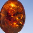 장수유기질 | 한국 전통 장신구에 쓰인 보석과 광물의 의미