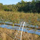 성창공인중개사사무소 이미지