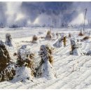 서정적인 이미지