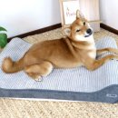 주식회사 로이 이미지