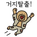감탄정형외과의원 네이버블로그