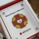 성심자원 | [record] ㄹㅇ 봉사하려고 간호학과 온 사람되버림ㅋㅎ(4년간의 봉사 대장정🎓)