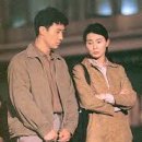 영화이야기/첨밀밀 이미지