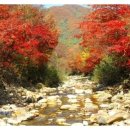 흥정계곡 가을동화펜션 이미지