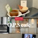 오피에스(OPS) 이미지