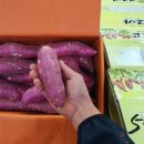 명지농장 이미지