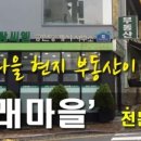 그랑씨엘공인중개사사무소 네이버블로그