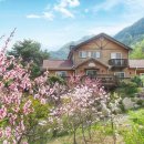 동화속풍경 이미지