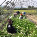 신당농장 이미지