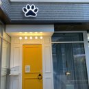 댕댕냠냠 이미지