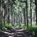 선흘리에 이미지